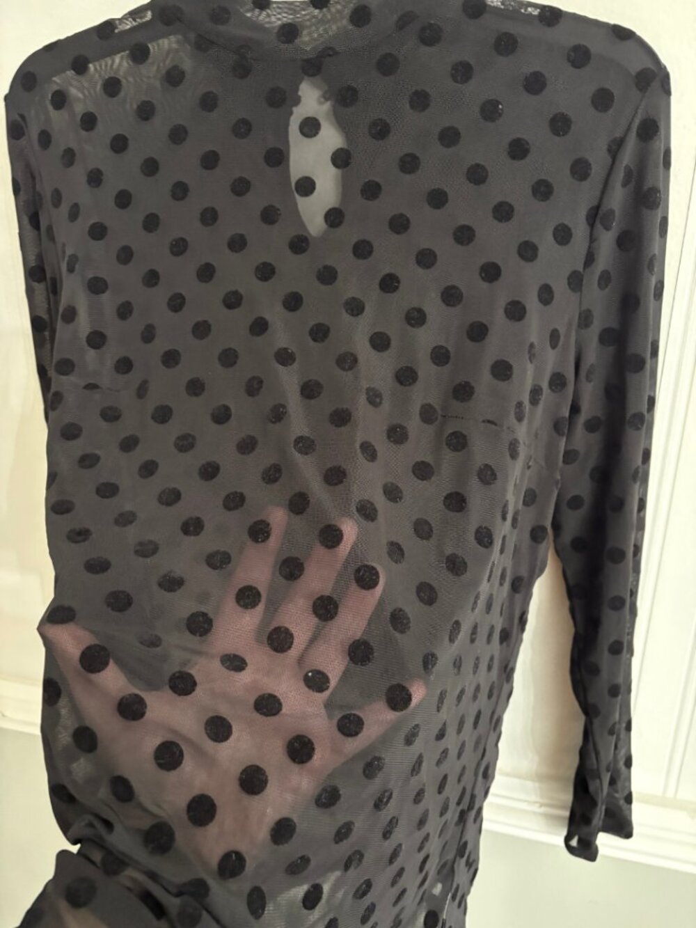 Fitted Mock Neck Sheer Mesh Top